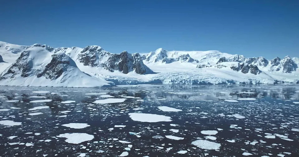 Thousands of Circular Fish Nests Discovered Beneath Antarctic Ice, Revealing Unexpected Social Behavior