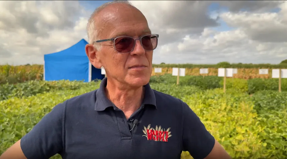 Gene-Edited Soybeans Thrive in Warwickshire Trial — Could Reduce UK Soya Imports