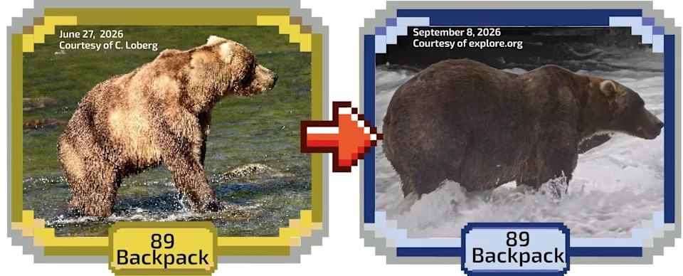 Fat Bear Week Returns to Alaska’s Katmai — Vote Daily Sept. 22–29 to Crown the Fattest Bear