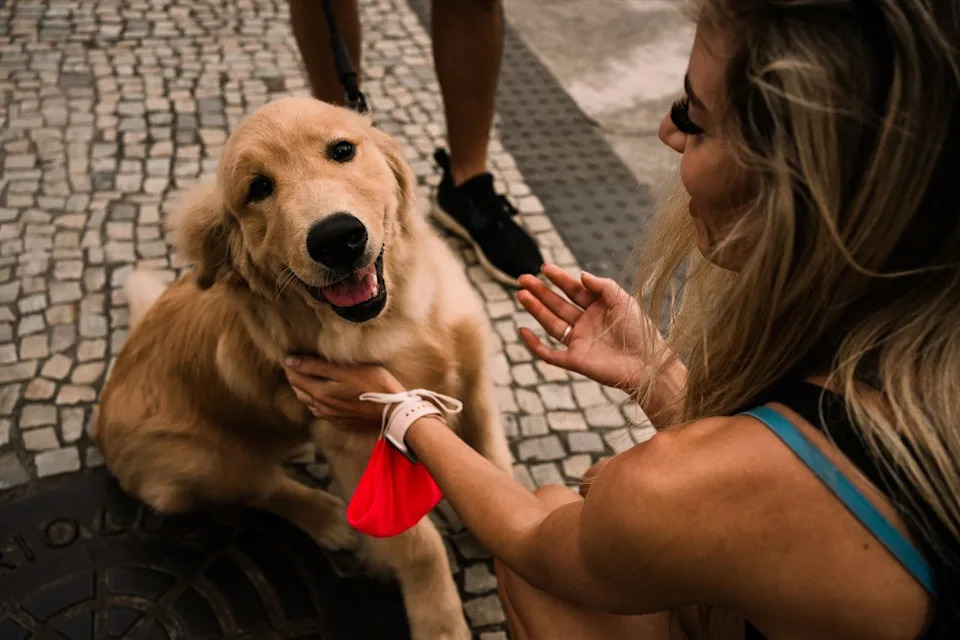 Dog Brains Segment Speech Like Humans — EEG Study Reveals a Consonant Bias