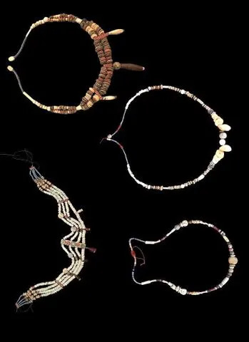 3,000-Year-Old Horse Skeleton and Rich Relics Unearthed at New Kingdom Fortress in Egypt