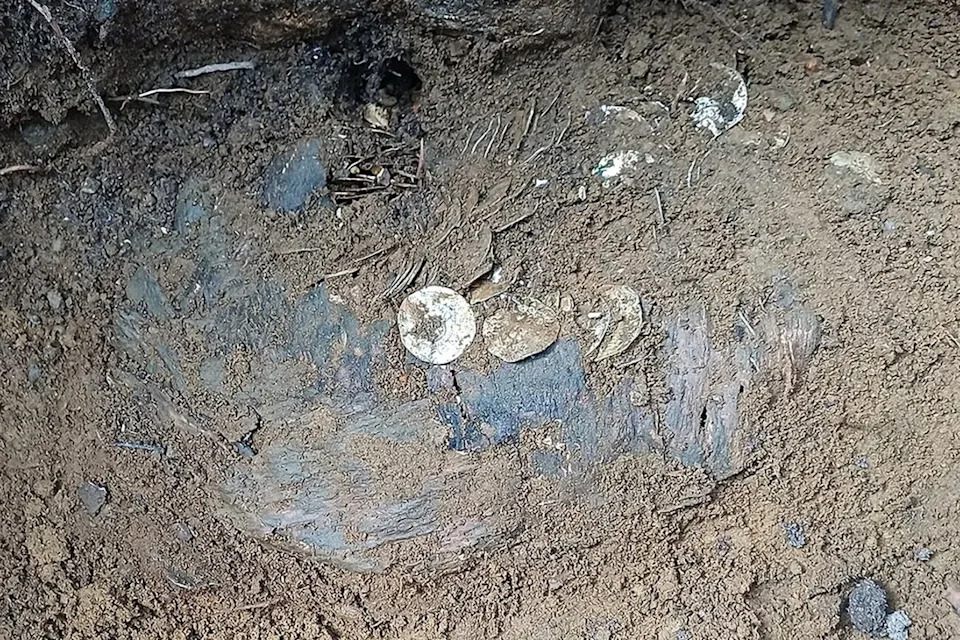 Record Viking-Age Silver Hoard Found in Finland — Metal Detectorist Unearths 4,000+ Coins