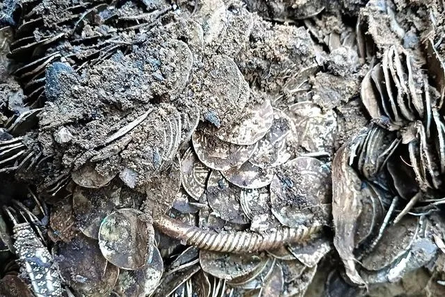 Record Viking-Age Silver Hoard Found in Finland — Metal Detectorist Unearths 4,000+ Coins