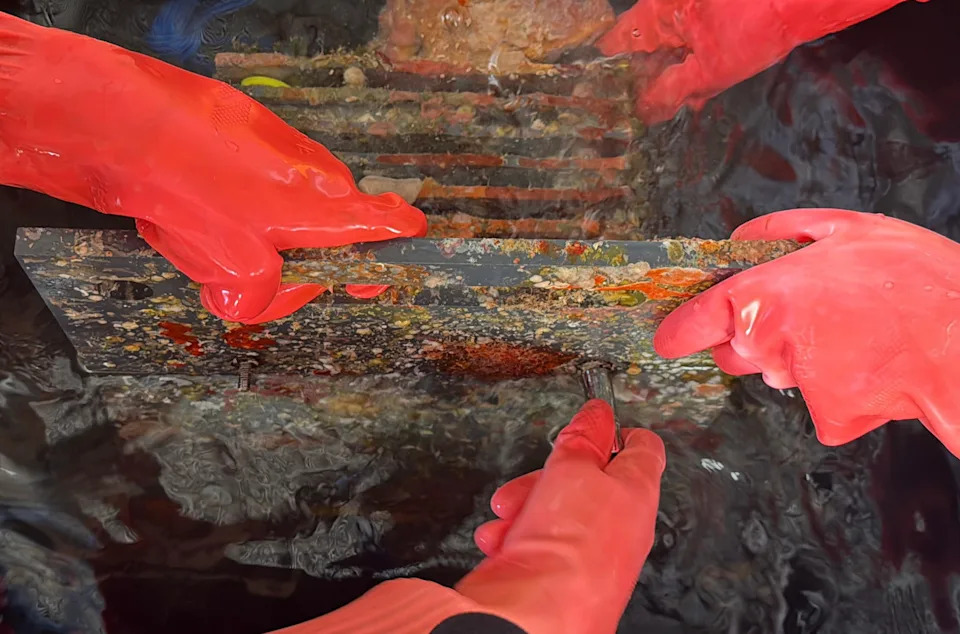 Inside the Quest to Unlock the Ocean’s Mysterious ‘Deep Reefs’