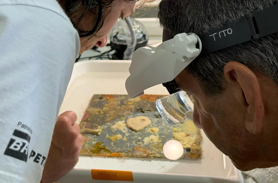 Inside the Quest to Unlock the Ocean’s Mysterious ‘Deep Reefs’