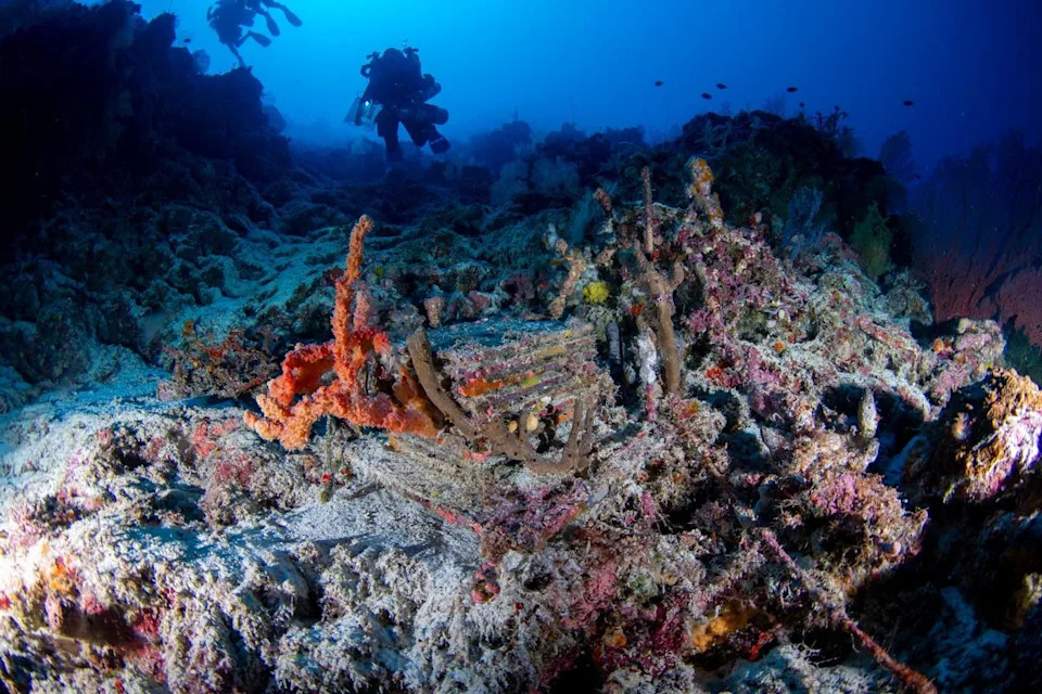 Inside the Quest to Unlock the Ocean’s Mysterious ‘Deep Reefs’