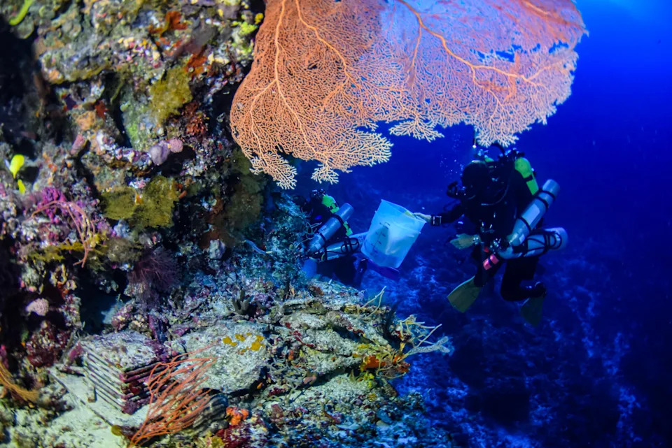 Inside the Quest to Unlock the Ocean’s Mysterious ‘Deep Reefs’