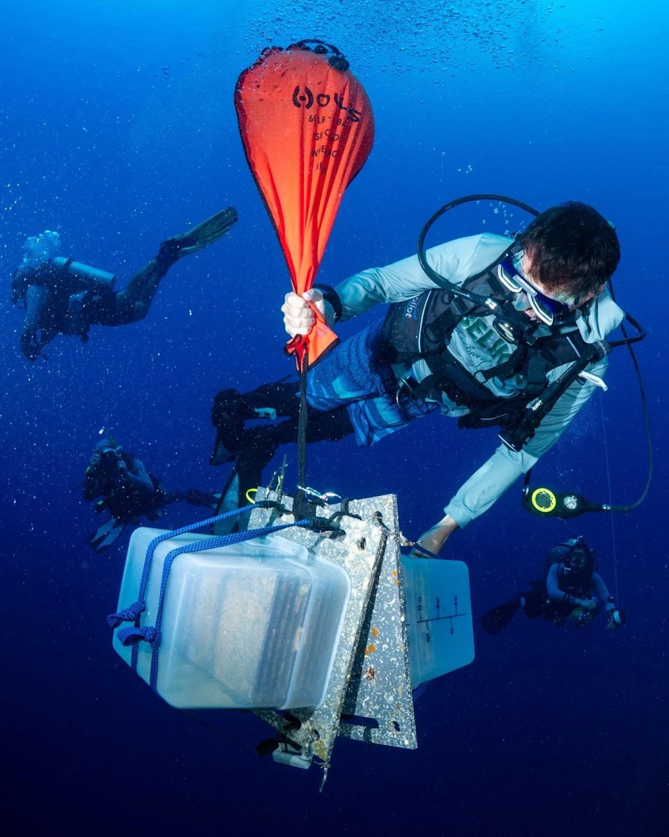 Inside the Quest to Unlock the Ocean’s Mysterious ‘Deep Reefs’