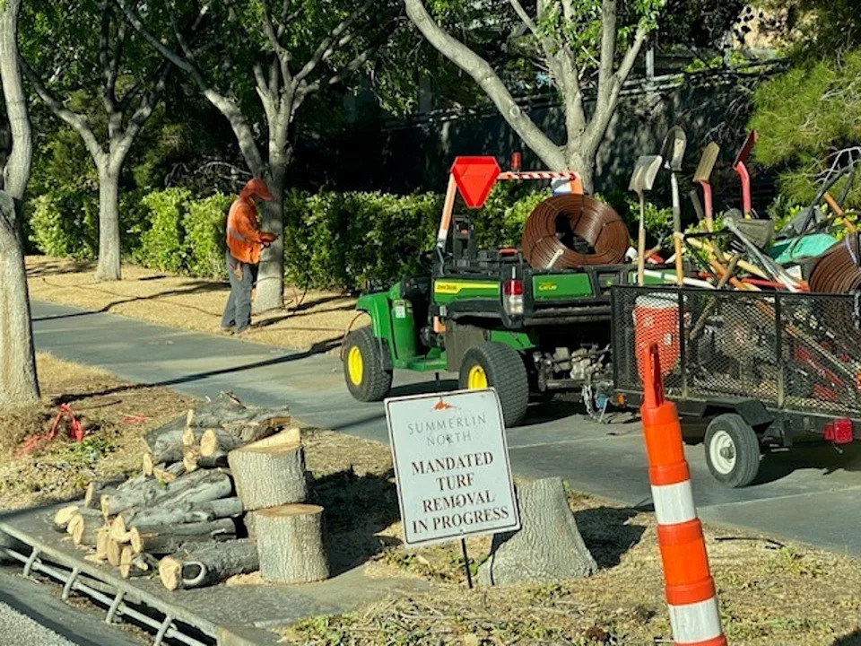 Las Vegas’ Cash‑for‑Grass Plan Aims To Save Water — Residents Say It Sacrifices Real Green Space