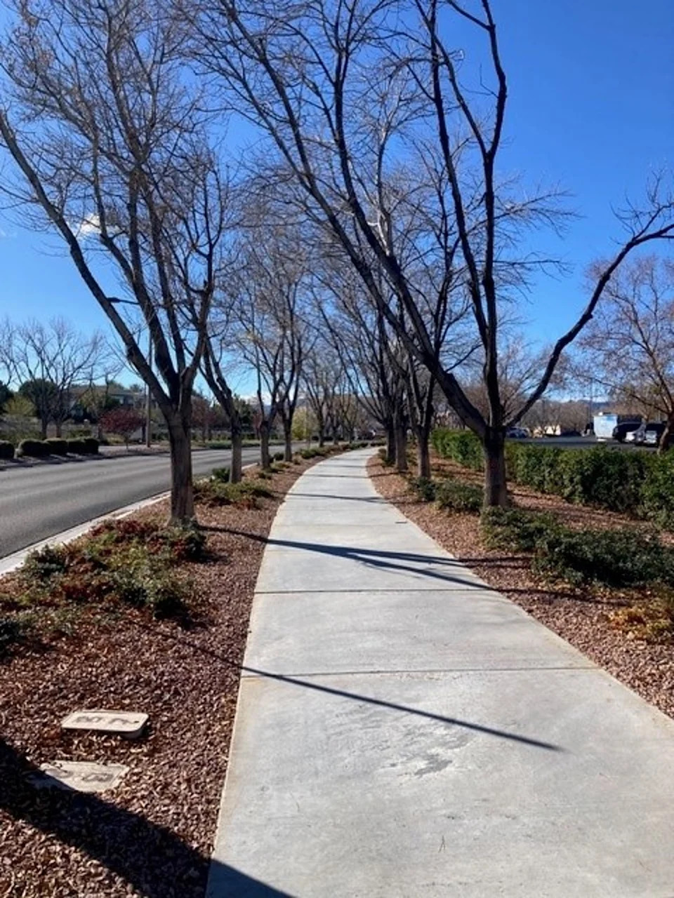Las Vegas’ Cash‑for‑Grass Plan Aims To Save Water — Residents Say It Sacrifices Real Green Space