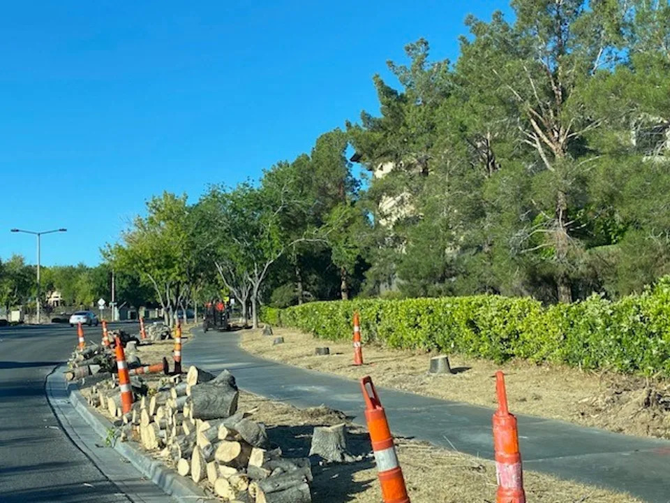Las Vegas’ Cash‑for‑Grass Plan Aims To Save Water — Residents Say It Sacrifices Real Green Space