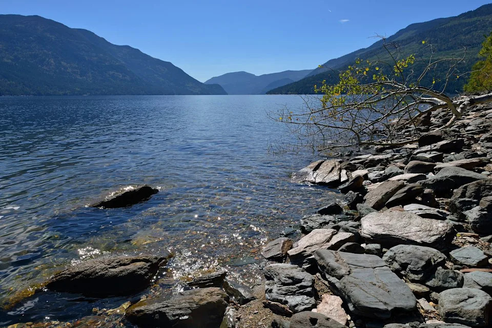 Kamloops Camper Uncovers Rare Mastodon Tooth at Adams Lake — A Major Pleistocene Find