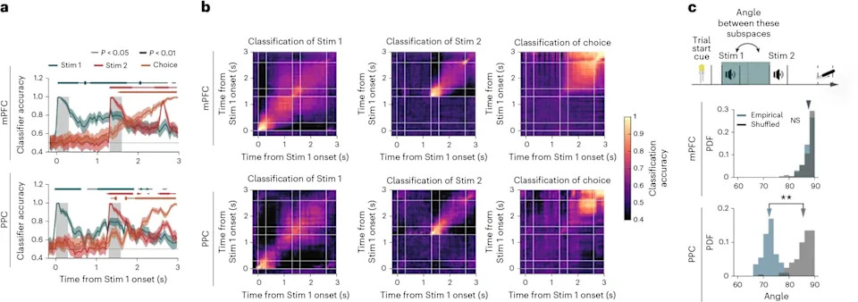 MIT Study: Brain Uses Reusable Neural 'Building Blocks' to Hold Different Kinds of Information