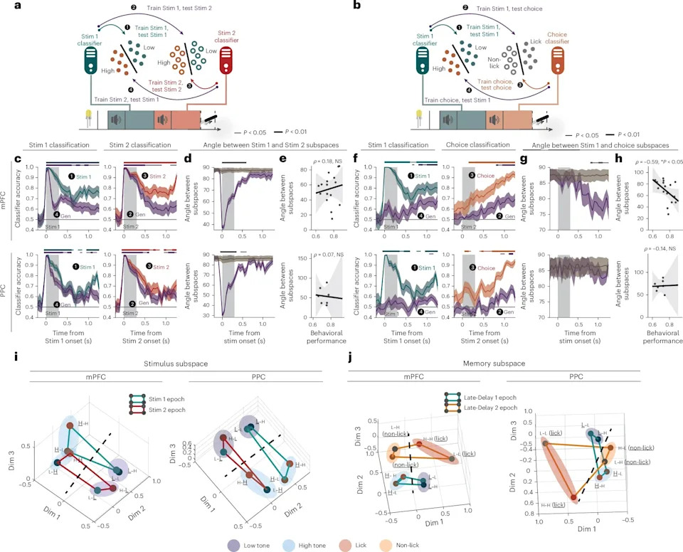 MIT Study: Brain Uses Reusable Neural 'Building Blocks' to Hold Different Kinds of Information