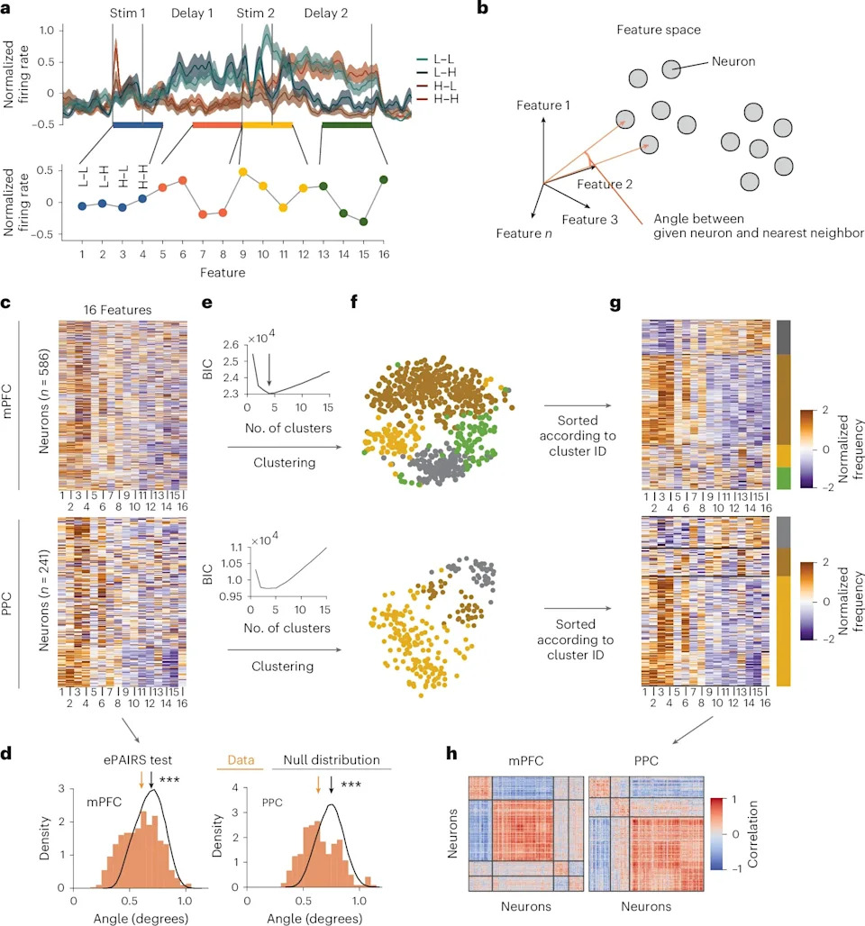 MIT Study: Brain Uses Reusable Neural 'Building Blocks' to Hold Different Kinds of Information