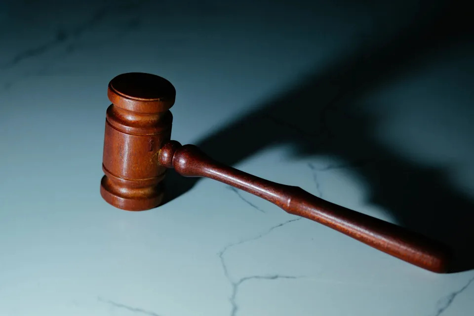 Wisconsin Homeowner Sues Over Neighborhood Flock Cameras, Seeks Warrant Rule for Police Access