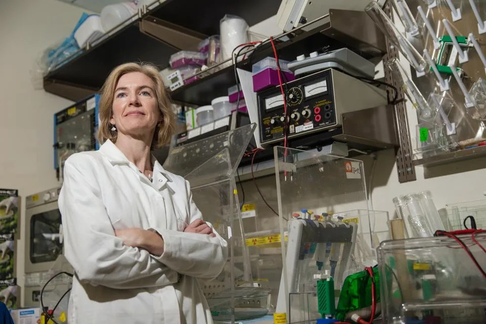 Where CRISPR Stands Now: Breakthroughs, Promise and Practical Barriers