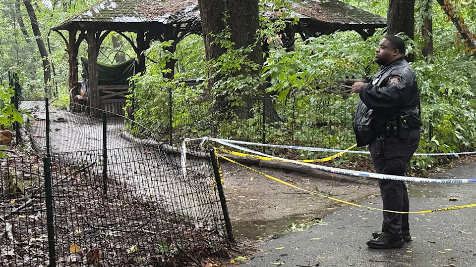 Woman in Her 60s Found Dead in Central Park; NYPD Investigates Unexplained Trauma