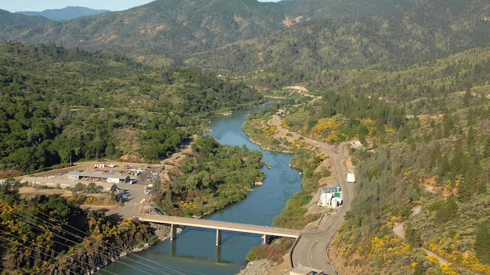 Weed Removal Backfired: Clearing Vegetation in California Delta Increased Salmon Losses Nearly Fourfold