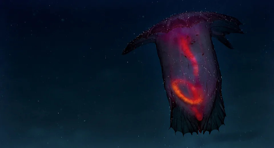 Meet the Deep-Sea 