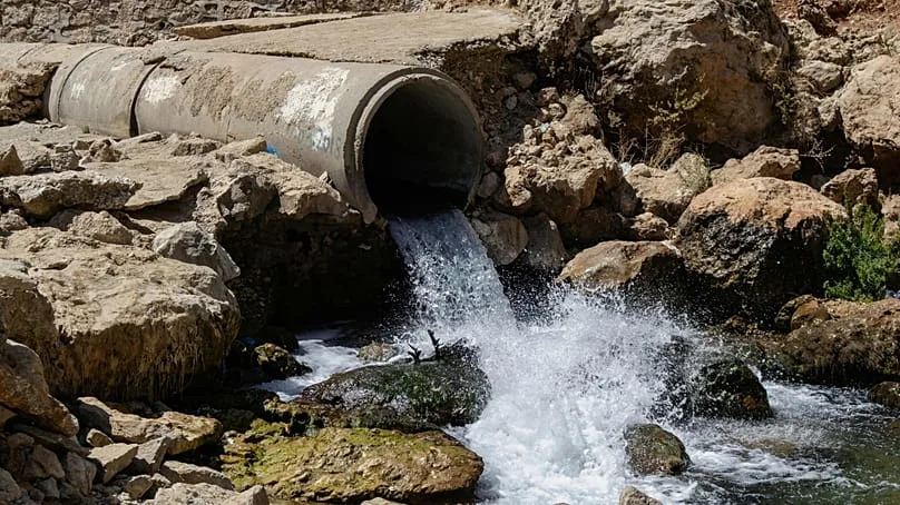 Diclofenac in the Baltic: How Researchers Are Cutting Pharmaceutical Pollution