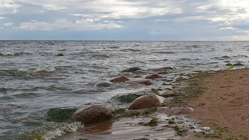 Diclofenac in the Baltic: How Researchers Are Cutting Pharmaceutical Pollution
