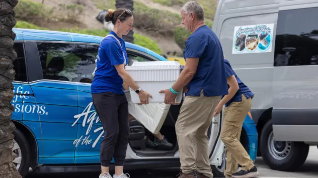 Historic Rescue: About 200 Olive Ridley Eggs Moved to Aquarium of the Pacific Ahead of Hurricane Polo