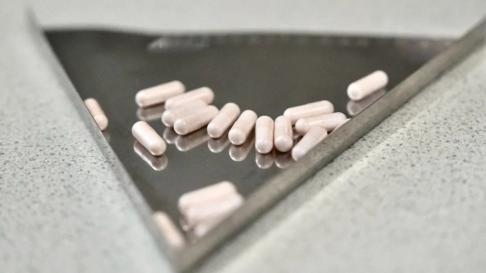 From Amazon Retreats To NHS Trials: The Rising Promise And Perils Of Psychedelic Therapy