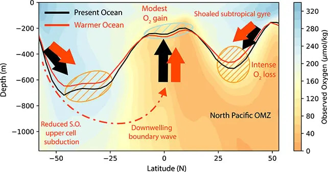 Pacific Warming Reshuffles Ocean 'Ages': Young Water Gets Older, Old Water Gets Younger