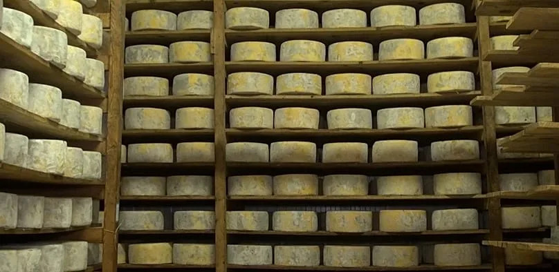 Naxos Graviera: World‑Renowned Cheese Faces Production Crunch