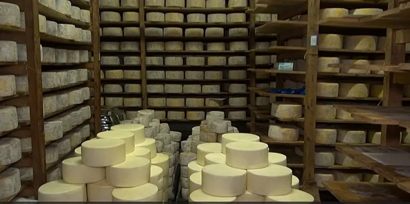 Naxos Graviera: World‑Renowned Cheese Faces Production Crunch