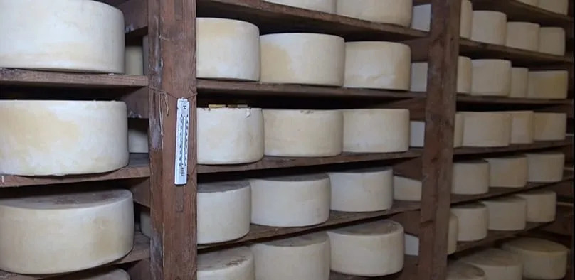 Naxos Graviera: World‑Renowned Cheese Faces Production Crunch