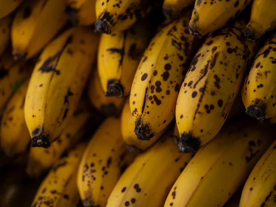 UK Nears Approval of Non‑Browning Bananas as Tropic Targets 2027 Supermarket Launch