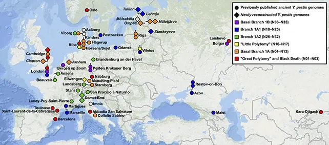 New Study Maps How the Black Death Reappeared Across Europe for Centuries — Using Ancient Genomes and Historical Records