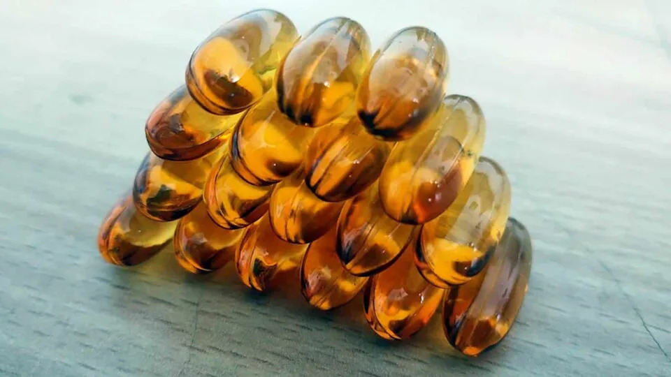 Omega-3 Reality Check: Brain DHA Rose — But Memory and Cognition Did Not Improve
