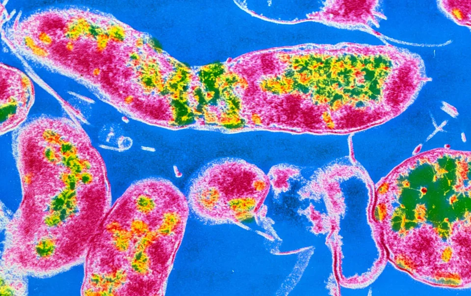 How Vaccines, Antibiotics and Screening Could Prevent Millions of Cancer Cases