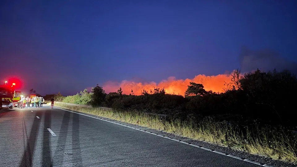 South England Faces Rising Wildfire Risk — Experts Warn Danger Could Double Within 40–50 Years