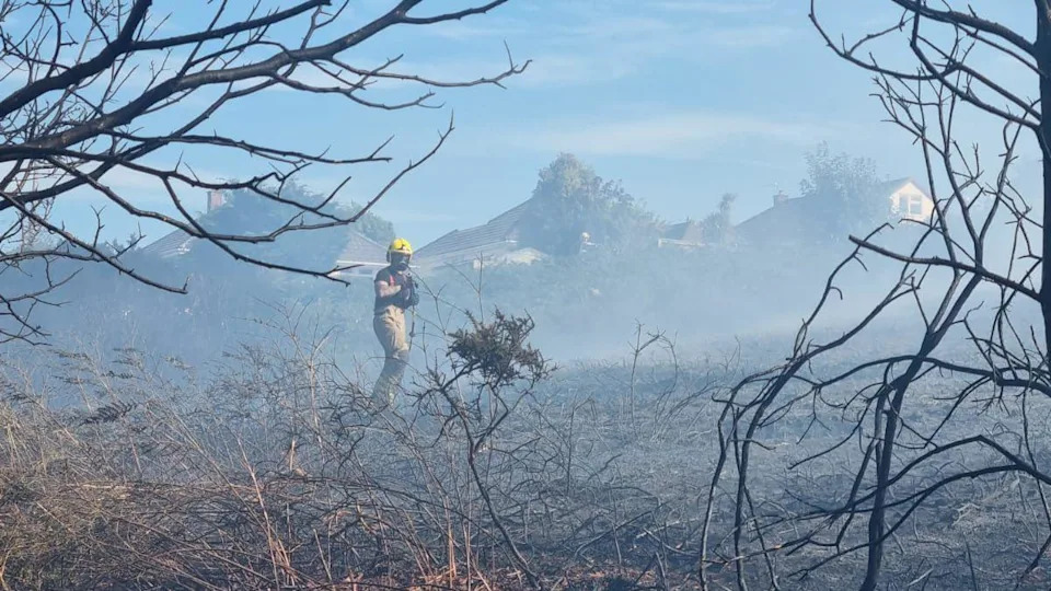South England Faces Rising Wildfire Risk — Experts Warn Danger Could Double Within 40–50 Years