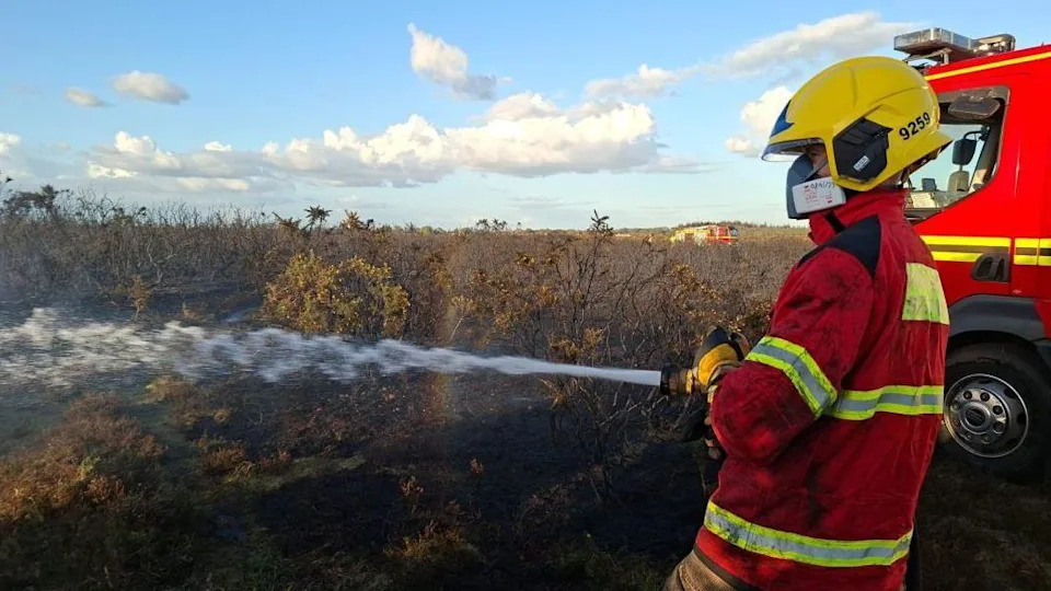 South England Faces Rising Wildfire Risk — Experts Warn Danger Could Double Within 40–50 Years