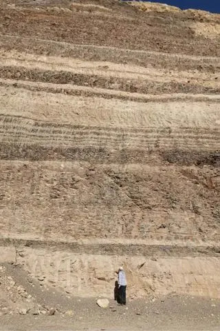 66-Million-Year-Old Shark 'Graveyard' Unearthed Beneath Egyptian Desert, Revealing New Species Records