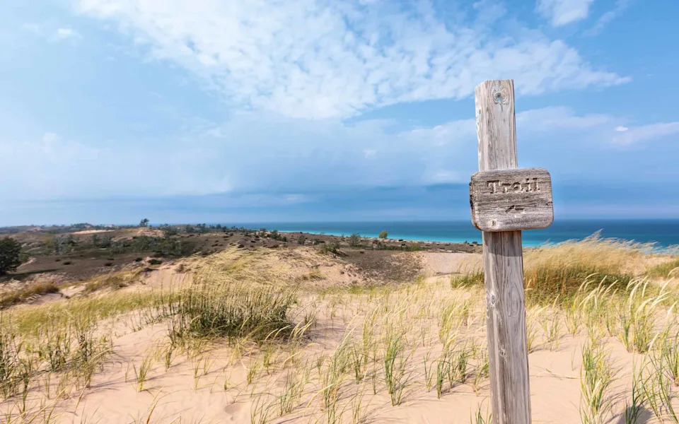 From 12 Pairs to 184 Chicks: Great Lakes Piping Plovers Stage a Remarkable Comeback