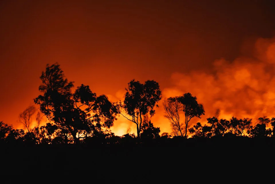 Seven Of Earth's Nine Life‑Support Systems Have Been Breached — 'We're Rapidly Running Out Of Time,' Scientists Warn