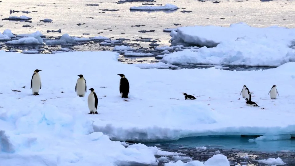 “Starkest Warning Yet”: Copernicus Report Shows Rapid, Deep Changes Sweeping the World’s Oceans