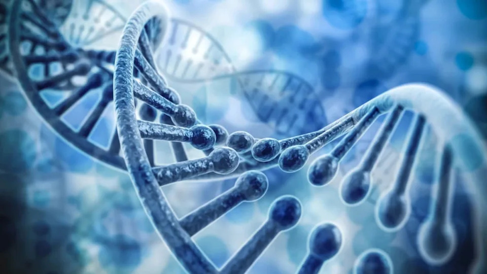 What Happens To Your DNA After Death? New Research Reveals Surprising Postmortem Activity