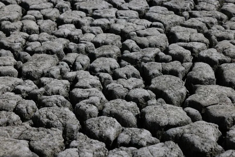 Lake Koroneia’s Collapse: How Drought and Over-Irrigation Turned a Thriving Wetland Into a Mud Plain