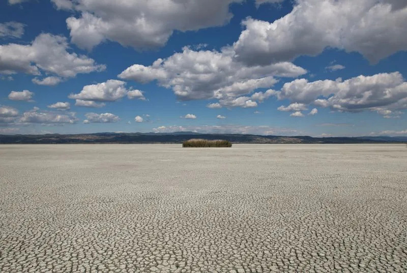Lake Koroneia’s Collapse: How Drought and Over-Irrigation Turned a Thriving Wetland Into a Mud Plain