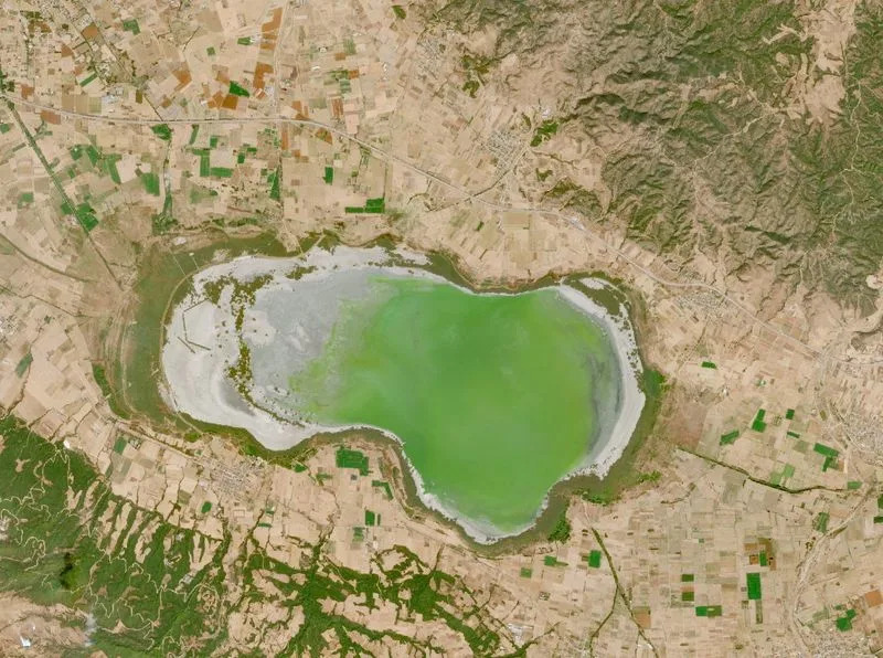 Lake Koroneia’s Collapse: How Drought and Over-Irrigation Turned a Thriving Wetland Into a Mud Plain