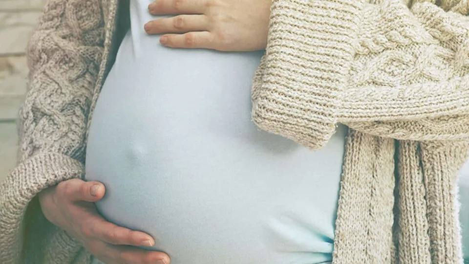 Scientists Rediscover the Rete Ovarii — A Tiny, Active Hub That Talks to the Ovary