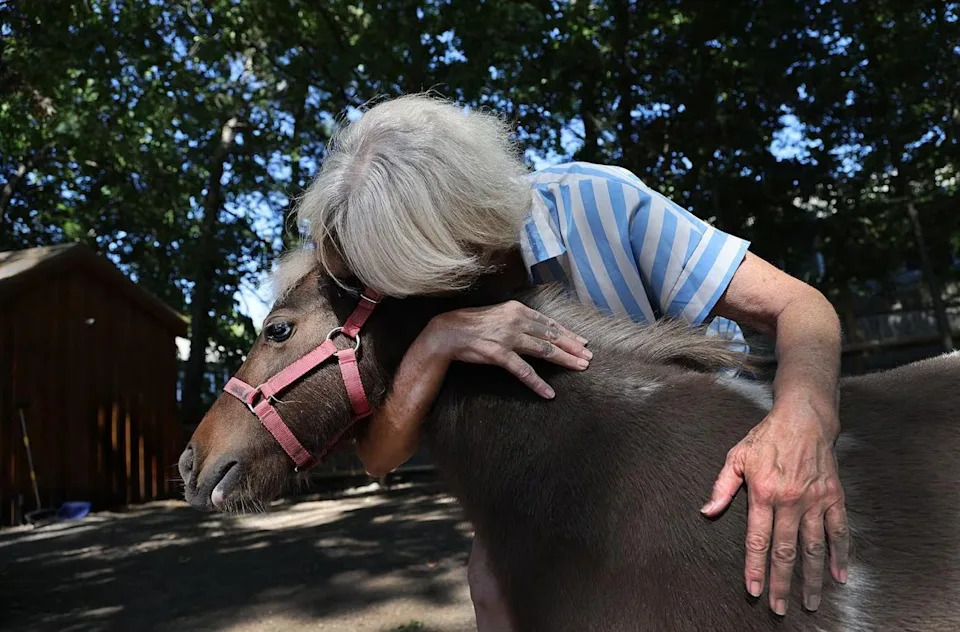 Massachusetts Woman Fights City Order to Remove Her Miniature Therapy Horse After Building $100K Shelter