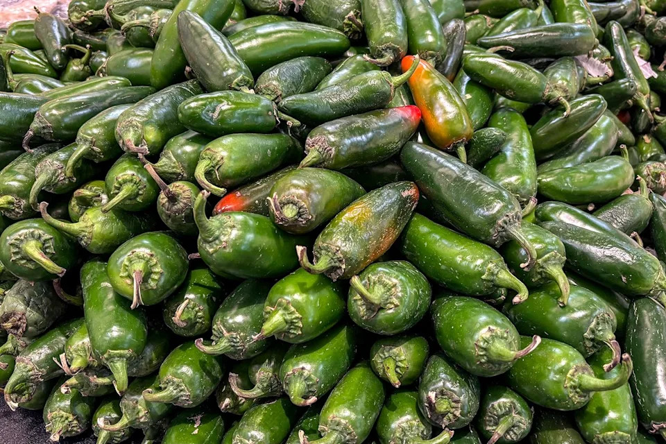 FDA Upgrades Salata's Jalapeño Avocado Dressing Recall to Class I Over Possible Salmonella Link